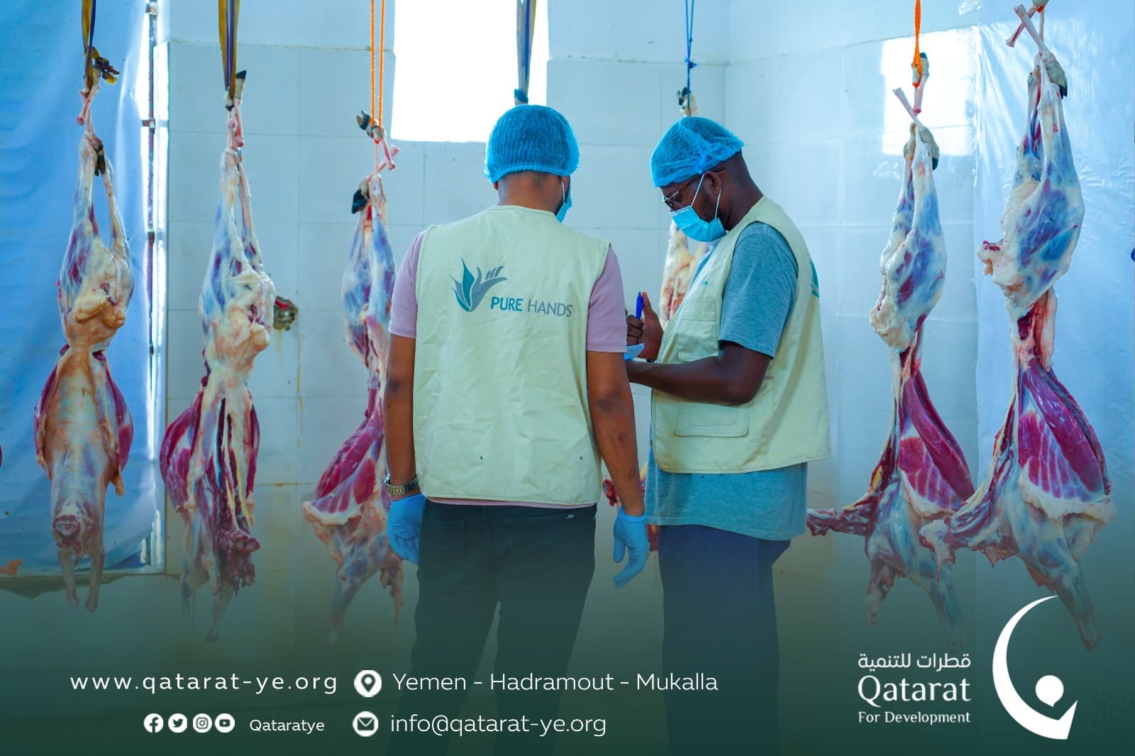 Article illustration