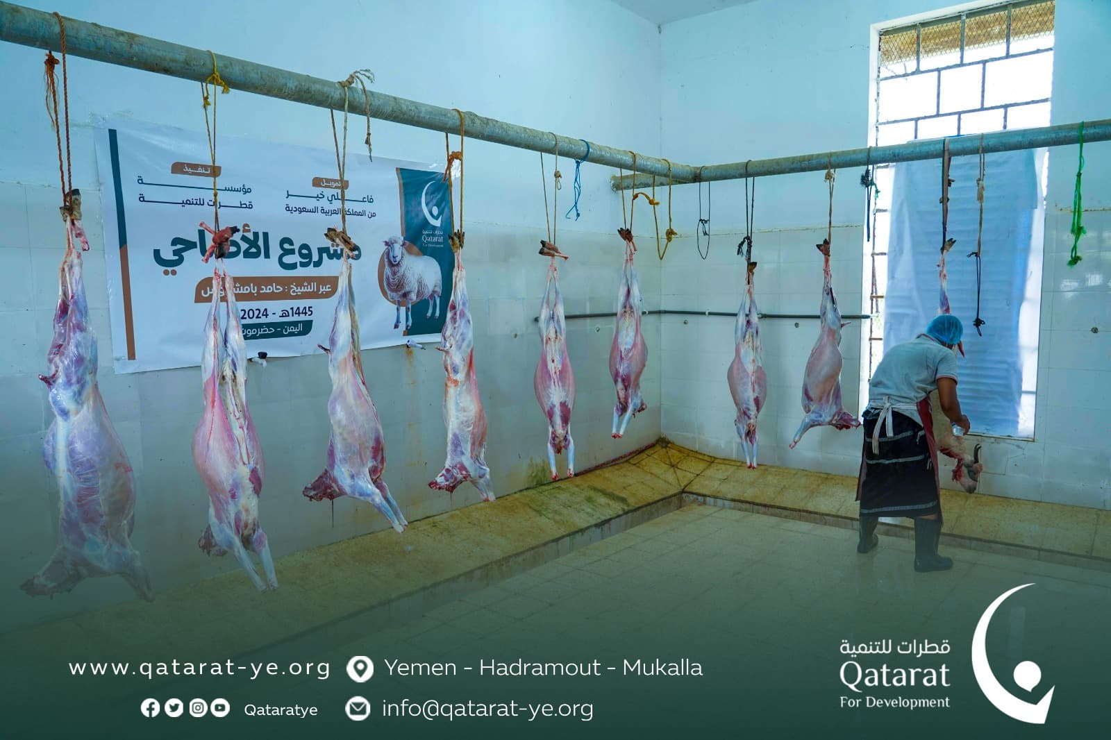 Article illustration