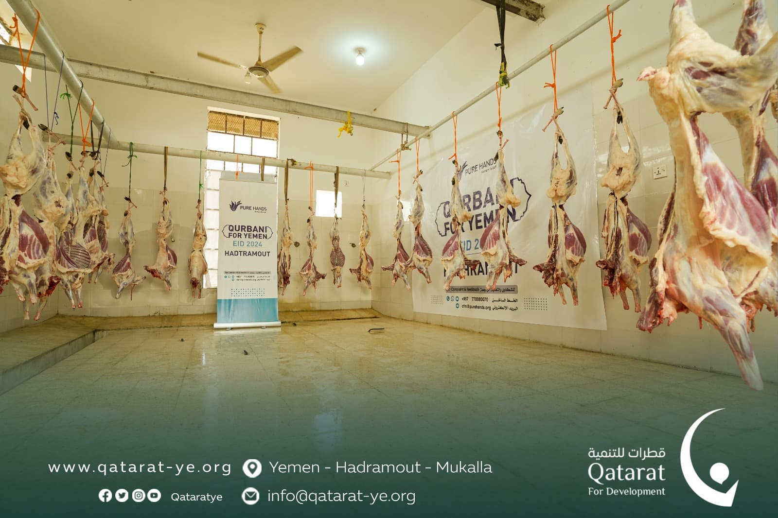 قطرات للتنمية تنفذ مشروع توزيع الأضاحي لعام 1445هـ