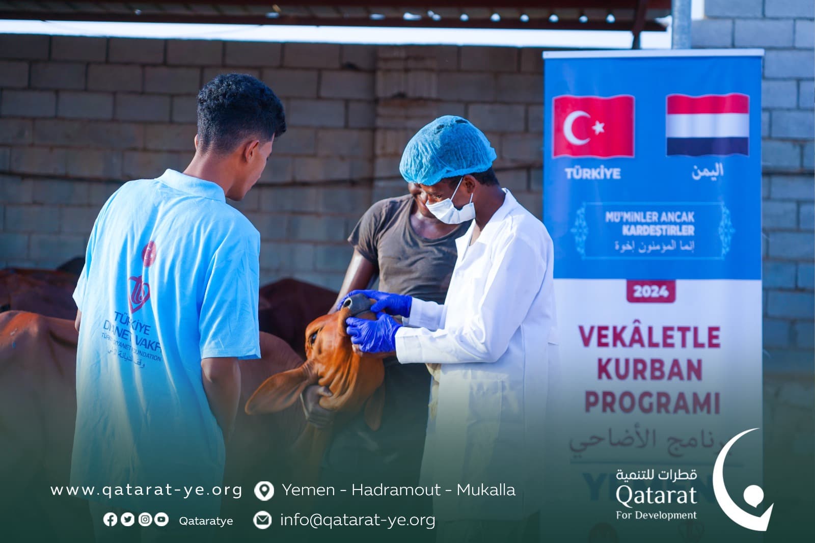 Article illustration